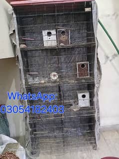 birds cage for sale