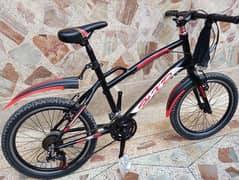 22 inch HXD bicycle