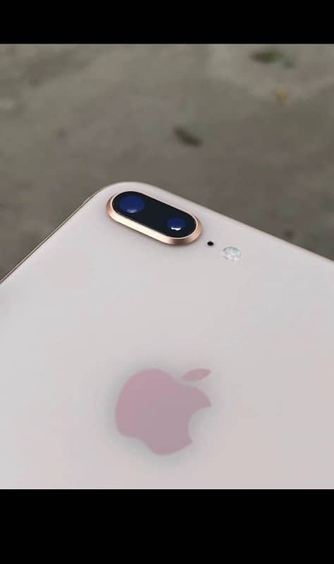 iPhone 8 Plus Golden PTA Approved 2