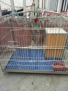 birds cage for sale