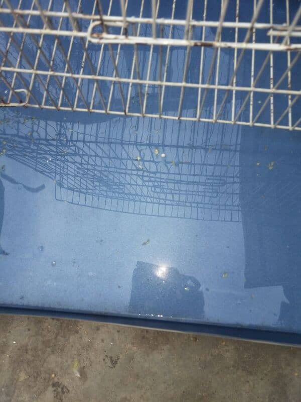 birds cage for sale 1