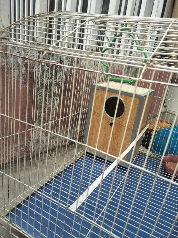 birds cage for sale 2