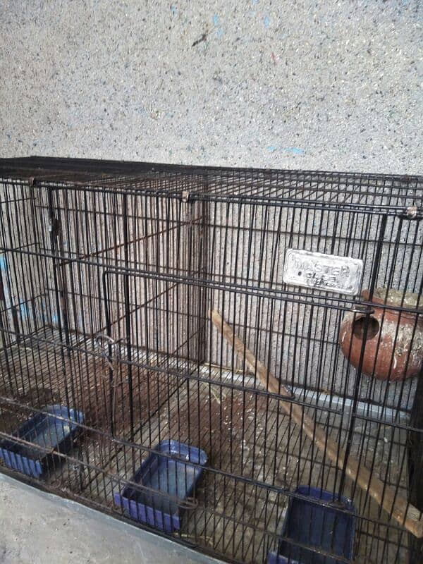 birds cage for sale 3