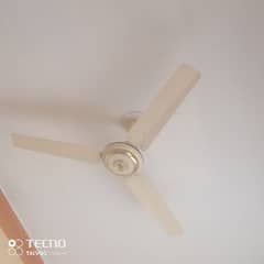 fan no repair no fault