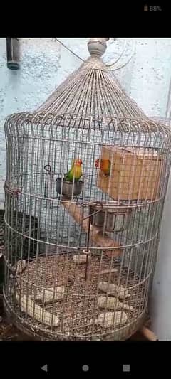 1 pair Fisher with new heavy cage See phone number