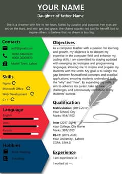 Resume builder/ Cv writer / CV / Resume/ CV Designer Professional