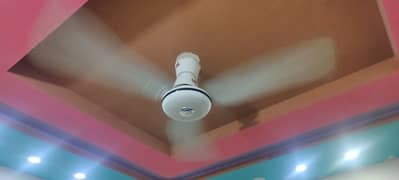 3 Ceiling Fan in affordable rates