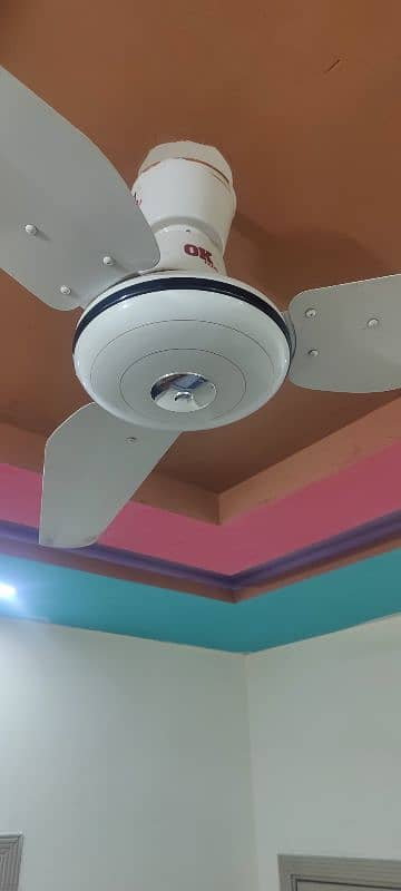 3 Ceiling Fan in affordable rates 2