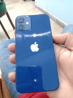 Urgent sale i phone 12 mini Blue