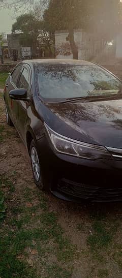 Toyota Corolla XLI 2015