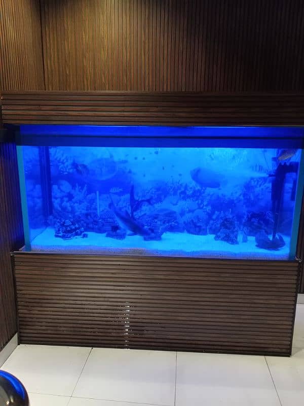 Fish aquarium service maintenance 6