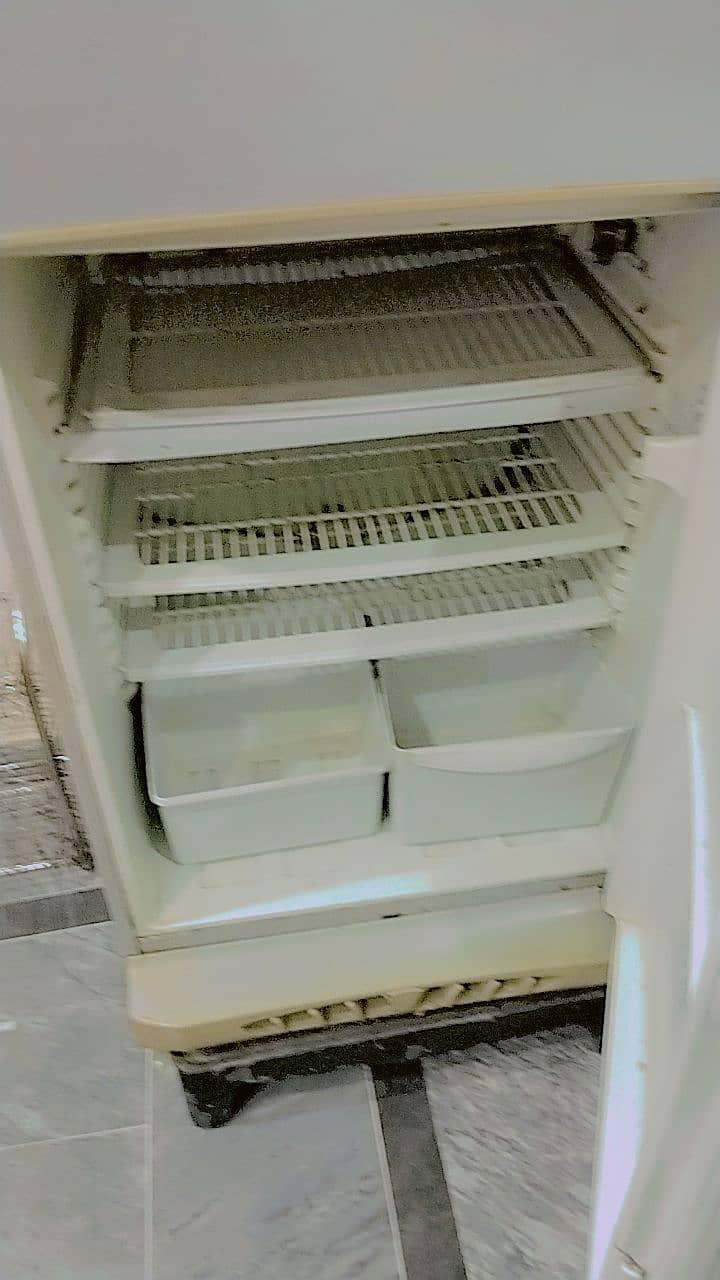 Pel fridge for sale 2