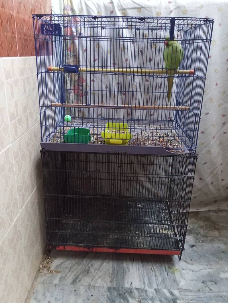 Used folding cages forsale 2feetby1.5feet 3