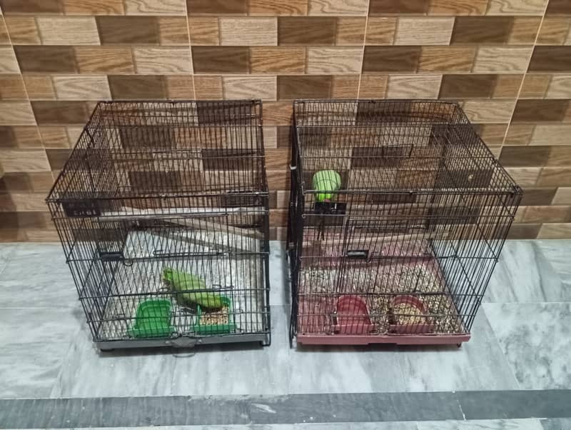 Used folding cages forsale 2feetby1.5feet 4