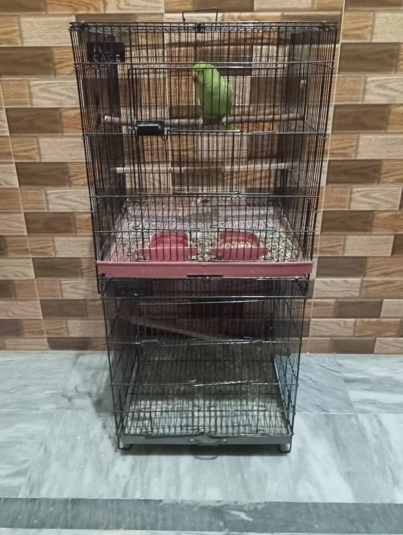 Used folding cages forsale 2feetby1.5feet 5