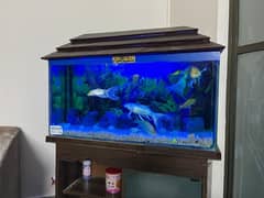 Fish Aquarium for Sale in Suitable Condition