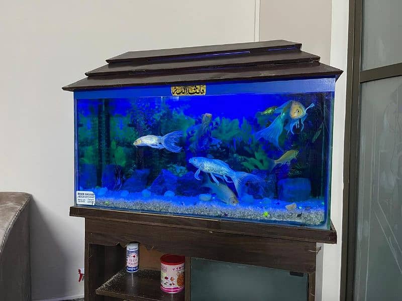 Fish Aquarium for Sale in Suitable Condition 0