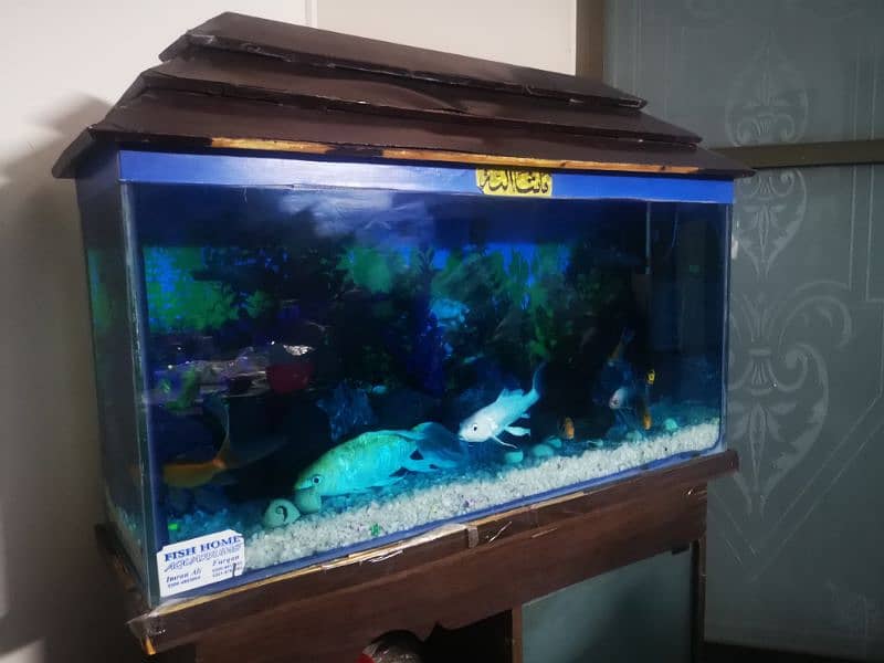 Fish Aquarium for Sale in Suitable Condition 1