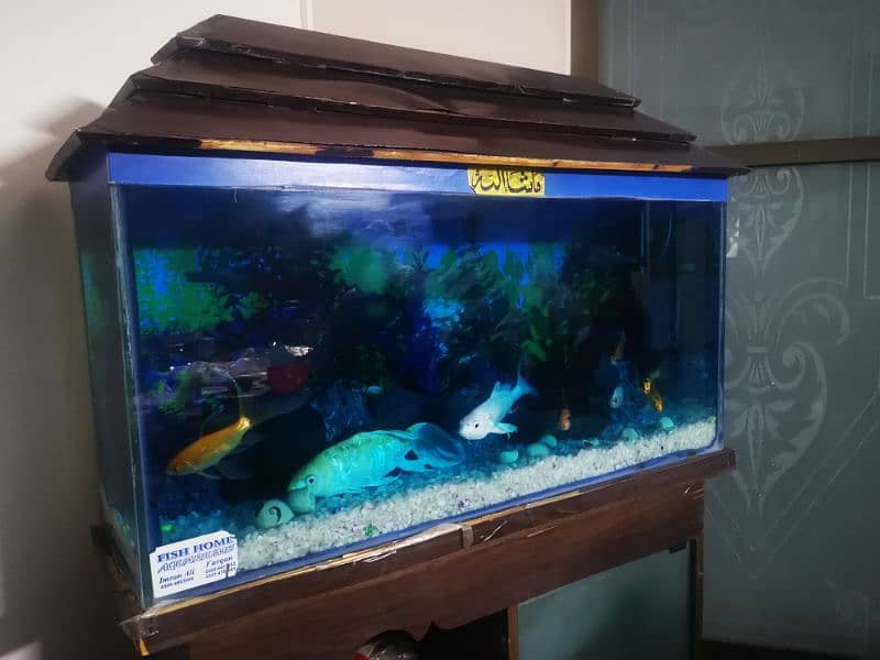 Fish Aquarium for Sale in Suitable Condition 2