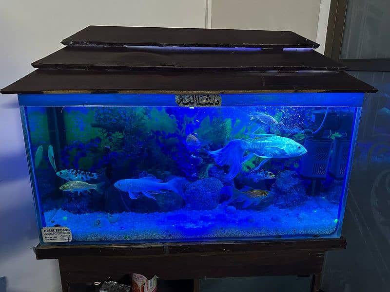 Fish Aquarium for Sale in Suitable Condition 3