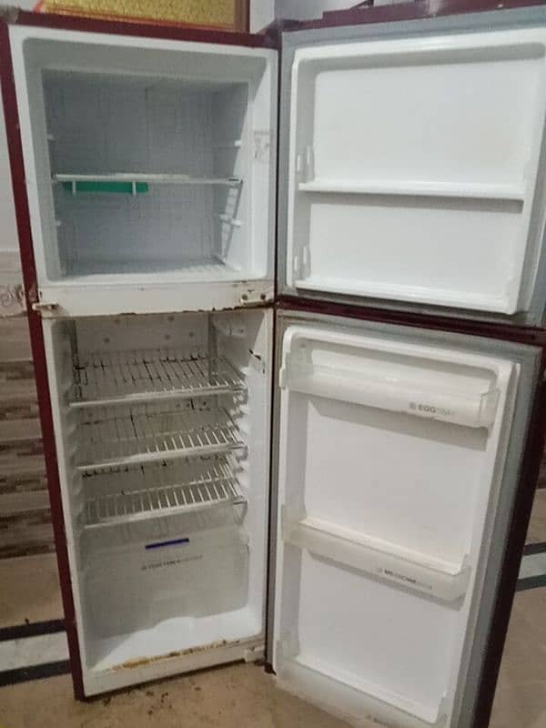 orient fridge 2