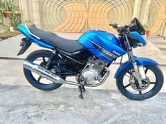 Yamaha Ybr(blue)