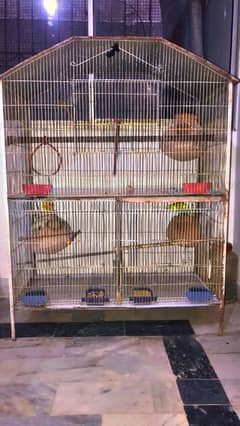 3 portion cage for parrot and birds