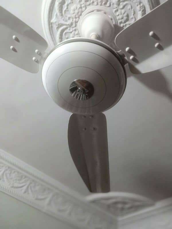 Fan for Sale 0