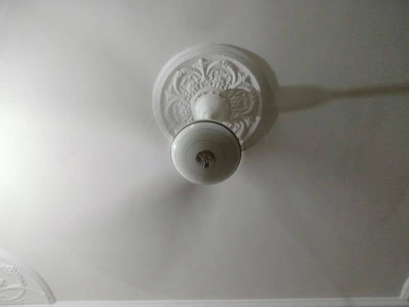 Fan for Sale 2