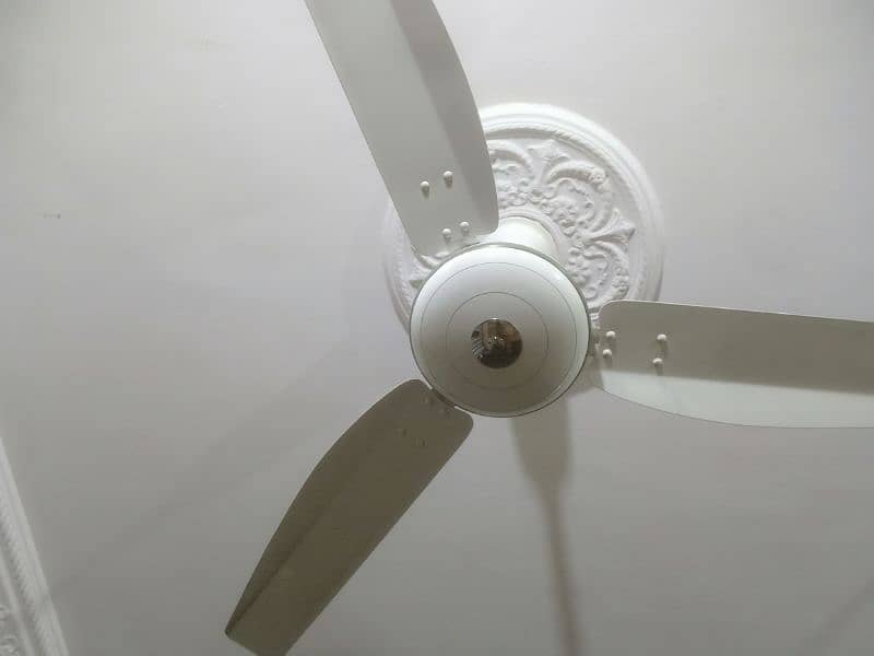 Fan for Sale 6