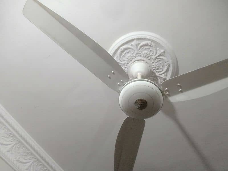 Fan for Sale 7