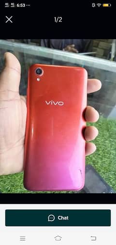 Vivo