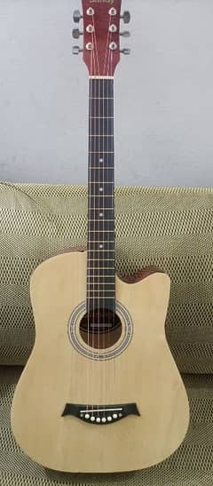 Acoustic Guitar