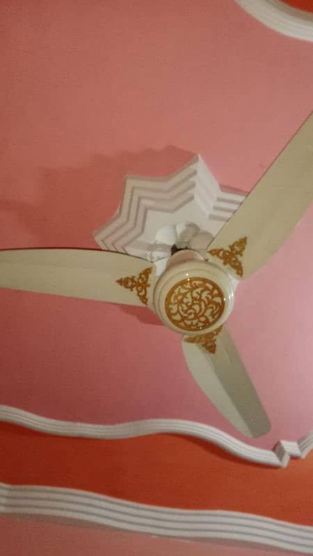 GFC new fancy fan 220v just like a new 0