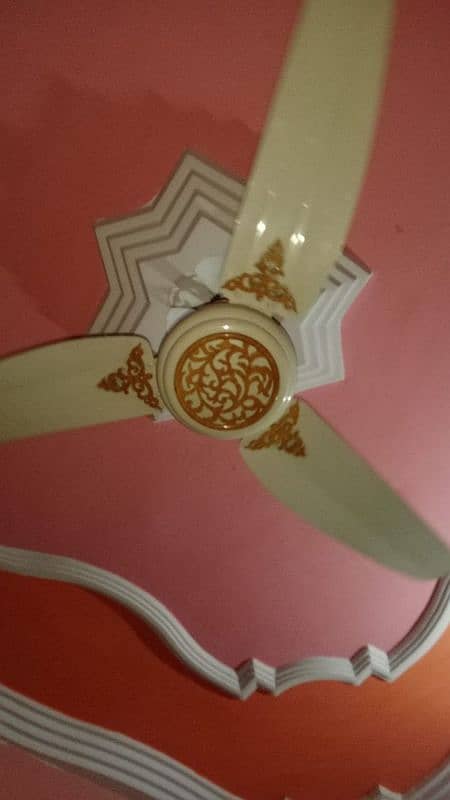 GFC new fancy fan 220v just like a new 2