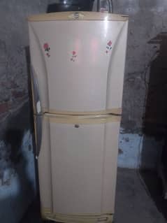 pel refrigerator medium size