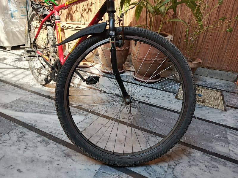 perfect condition cycle// slightly used 1