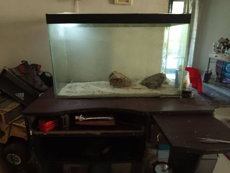 tank+table and guppy fish 4