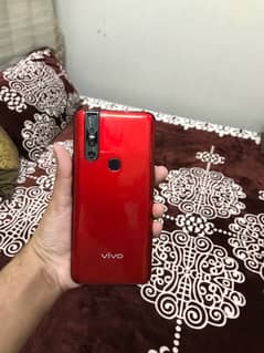 vivo