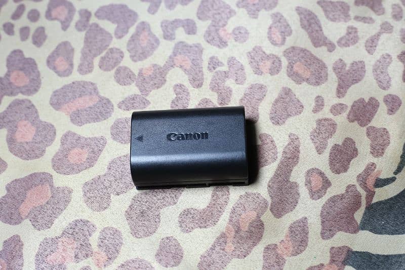 Canon eos 60d with 28 105mm Lenes 8