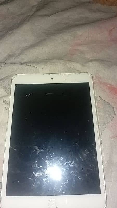 ipad mini 2 0