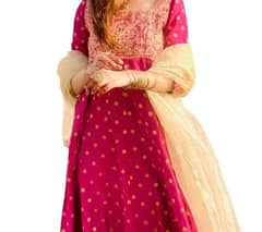 embroidery ethnic dress