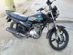 ybzDx 125