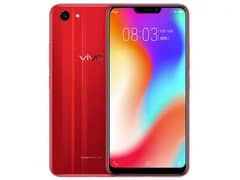 vivo