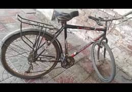 cycle for sell