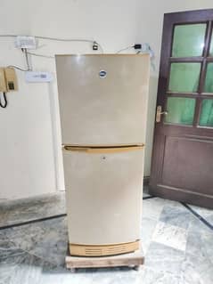 Pell Fridge Medium Size (Never Repair)