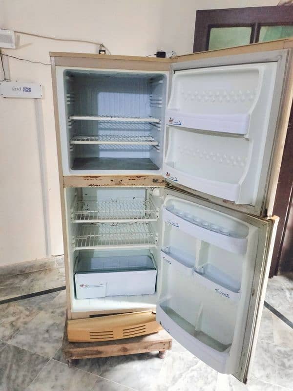 Pell Fridge Medium Size (Never Repair) 1