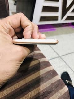 iphone 8plus 64gb PTA APPROVED