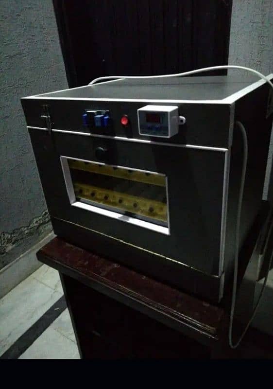 semi-auto incubator 3