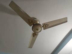 Ceiling Fan